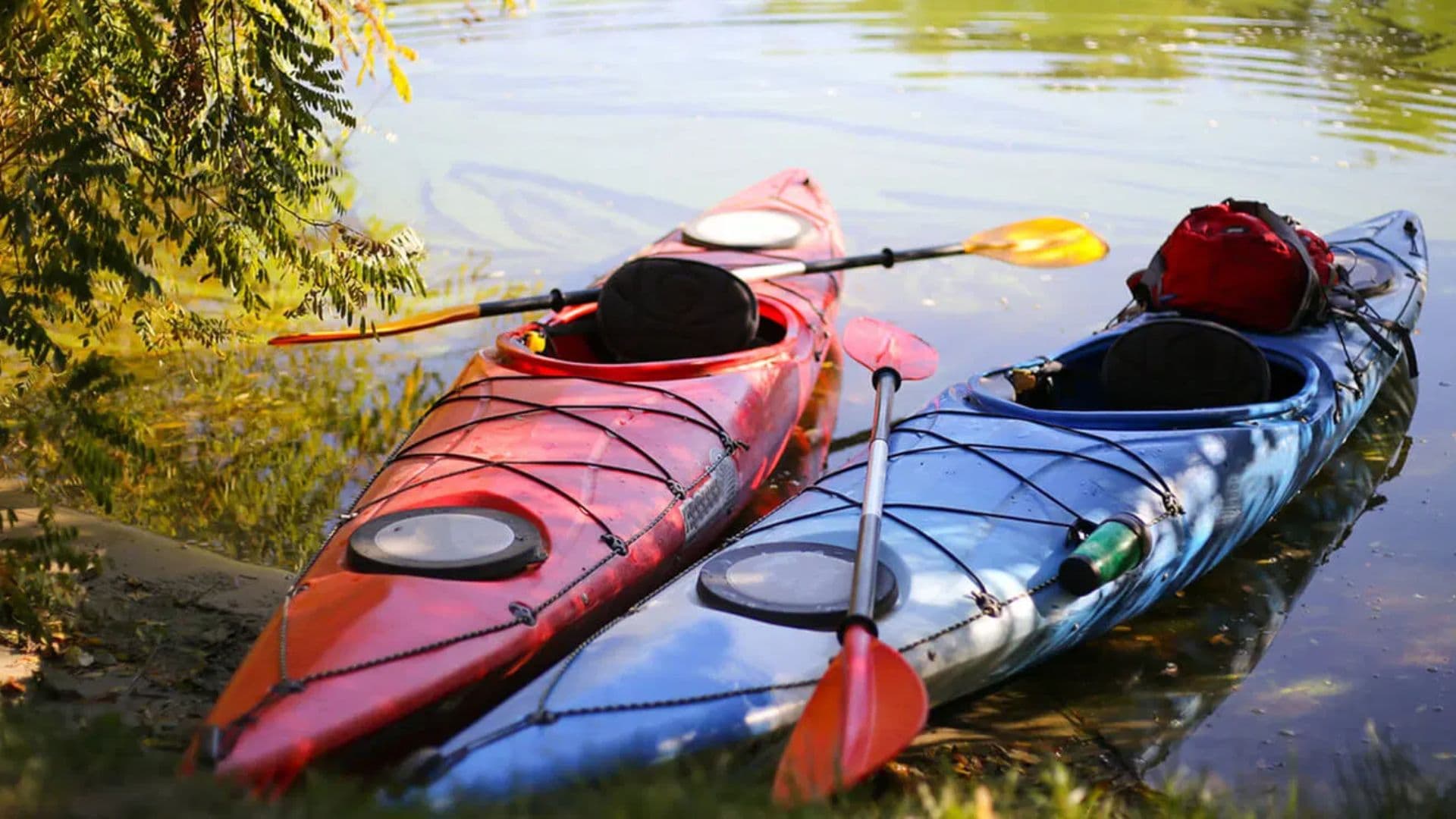 Two kayaks, one red and one blue, are anchored beside a calm body of water.